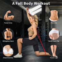 New Resistance Bands, Pull Up Assistance Bands, Exercise Bands for Men or Women Home Fitness, Body Stretching, Strength Training